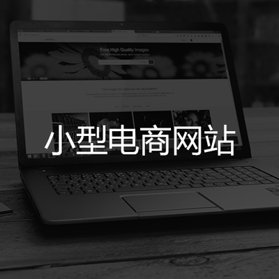 小型电商网站