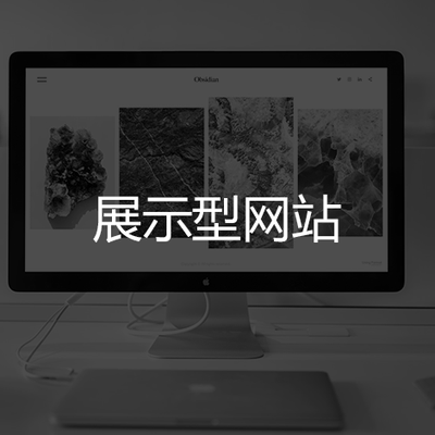 展示型网站